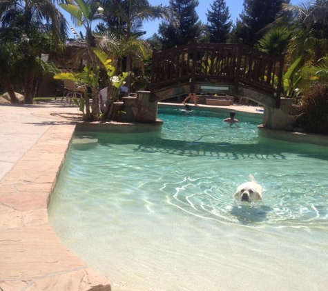 Camarillo Best Pool Cleaning Service - Camarillo, CA