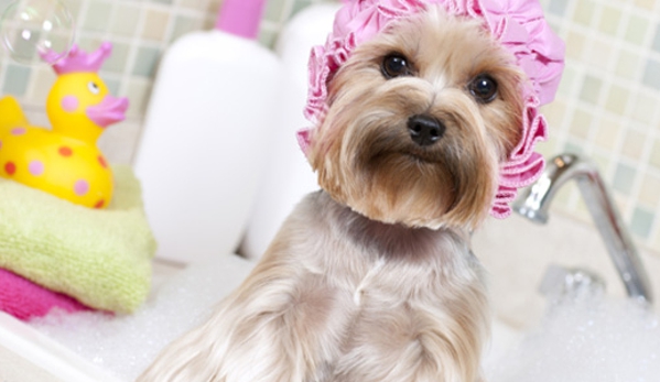 Pooch Parlour - Newport News, VA