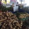 State Farmers Market gallery