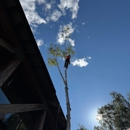 H Bros. Tree Service - Tree Service