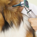 Lyon Veterinary Hospital - Pet Services