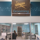 Petco Grooming