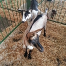 Johnson County Fair Board - Fairgrounds