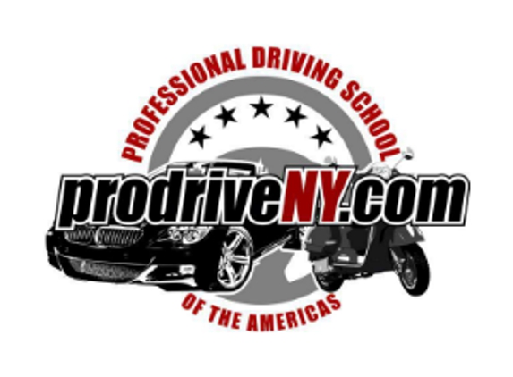 Professional Driving School of the Americas - New York, NY