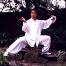 Northern Shaolin Kung Fu & Tai Chi Academy - Martial Arts Instruction
