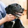 Fourmile Veterinary Clinic gallery