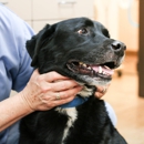 Fourmile Veterinary Clinic - Veterinarians