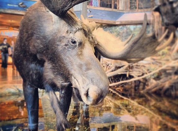 Bass Pro Shops/Cabela’s Boating Center - Foxborough, MA