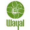 Wayal True Health Science gallery