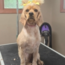 Coats & Tails Grooming and Boarding