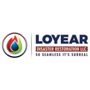 Loyear Disaster Restoration Services - Water Damage Restoration