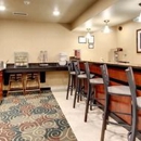 Cobblestone Inn & Suites - Altamont - Lodging