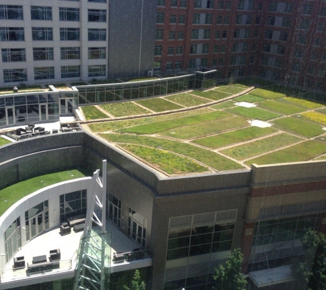 Courtyard by Marriott - Arlington, VA