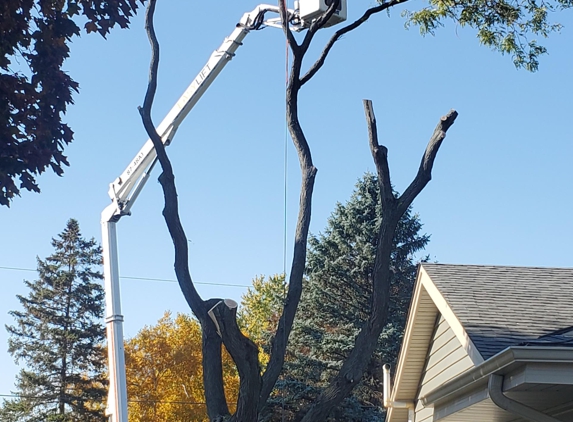 Rg Tree Service - Menomonee Falls, WI