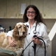 Virginia Veterinary Centers - Midlothian