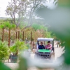 Christmas Tree Lot at Moon Valley Nurseries - San Antonio gallery