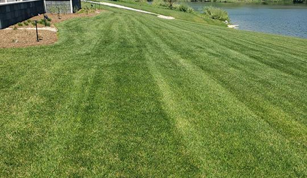 Pure Green Lawn Services - Canton, IL