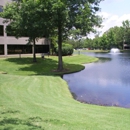 Landscape Services Group - Landscape Designers & Consultants