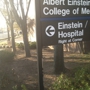 Albert Einstein College of Medicine