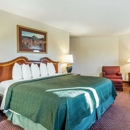 Quality Inn Grand Junction - Motels