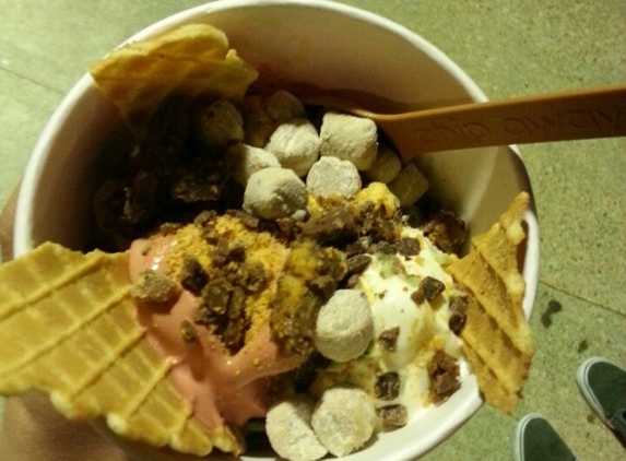 Menchie's Frozen Yogurt - Houston, TX