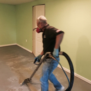 Tulip Cleaning Services - Elizabeth, NJ. Mold Removal