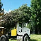 Gold Creek Tree Farms, Ltd.