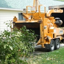 High Peaks Tree Removal - Tree Service