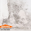 SERVPRO of North Eugene / NW Lane County - Air Duct Cleaning