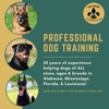 Southern K-9 Training Solutions gallery