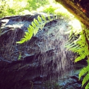 Russian Gulch State Park - Parks