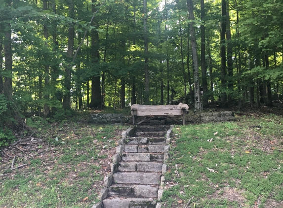 Percy Warner Park - Nashville, TN. There are benches placed along the trail. This one is just pretty!