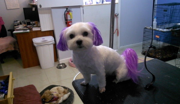 Doggie Paws Salon - Lake Worth Beach, FL