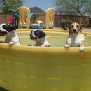 Boulder Falls Pet Resort - Pet Boarding & Kennels