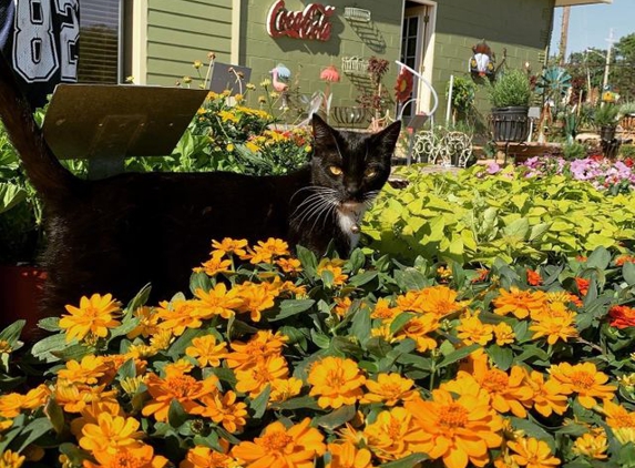 Meador's Garden Center & Landscaping - Denton, TX