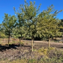 Helmin Landscaping