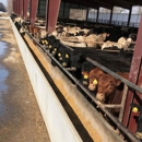 Profectus Livestock Solutions - Farming Service