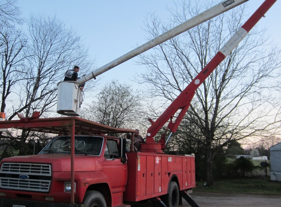 A Cut Above Tree Service