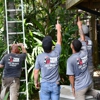 Cox Arboriculture Services gallery