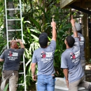 Cox Arboriculture Services - Arborists