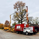 We Care Tree Service - Arborists