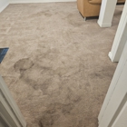 Aggro Carpet Cleaning