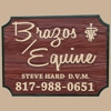 Brazos Equine Services gallery
