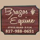 Brazos Equine Services - Veterinarians