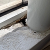 Building Performance Solutions - Sarasota Mold Testing & Inspection gallery