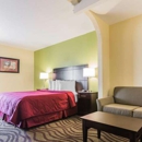 Quality Inn & Suites near Coliseum and Hwy 231 North - Motels