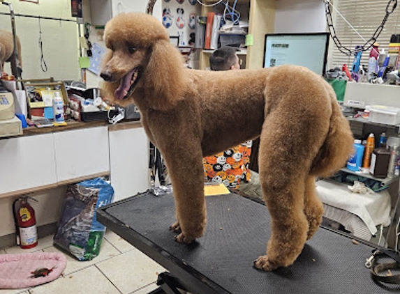 Cristy's Grooming 2 - Palm Bay, FL