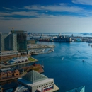 Discepolo Law Firm - Attorneys