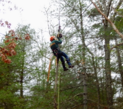 Forest Keepers Tree Care - Lawrence, KS