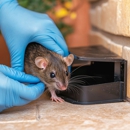 Eco Systems Pest Control - Pest Control Equipment & Supplies